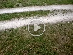 Vidéos